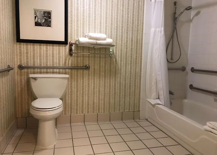 Hilton Garden Hotel Addison