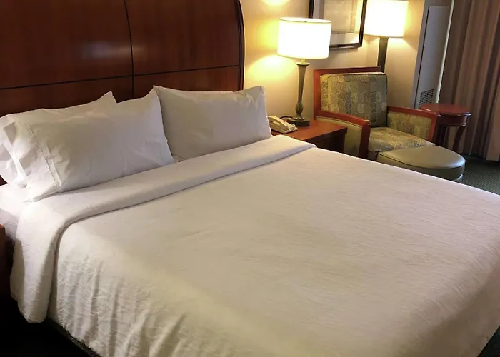 Hilton Garden